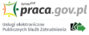 Usługi elektroniczne Publicznych Służb Zatrudnienia